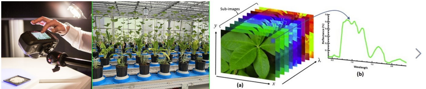高光譜成像技術植物監(jiān)測中的優(yōu)勢